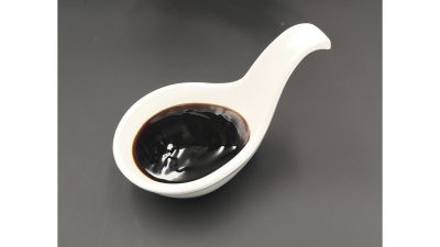 Teriyaki Teriyaki